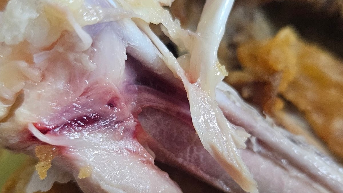 調理した鶏肉にはまだ血が残っている：潜在的な病気の原因