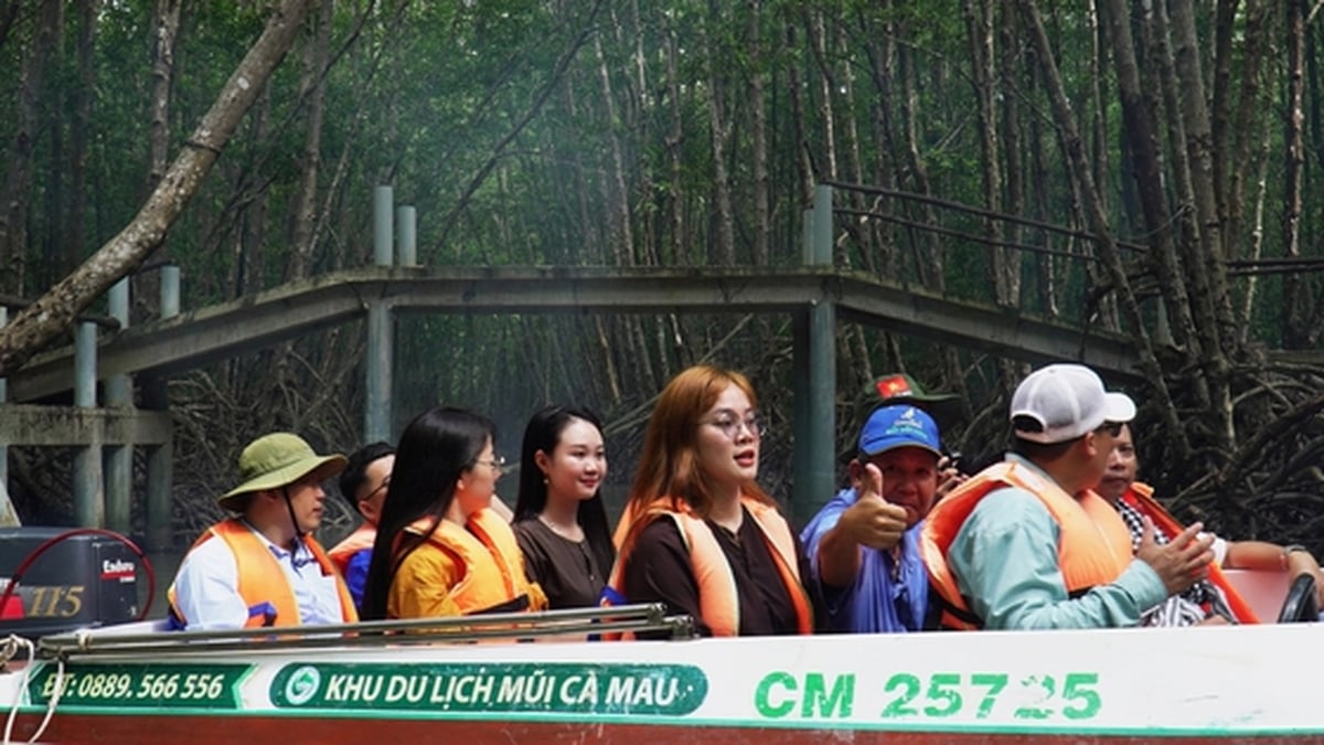 カマウ観光は画期的なチャンスに直面