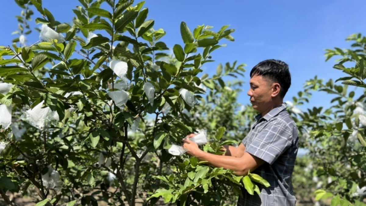 Quang La ខិតខំសម្រេចបានឃុំជនបទគំរូថ្មីមុនឆ្នាំ 2030