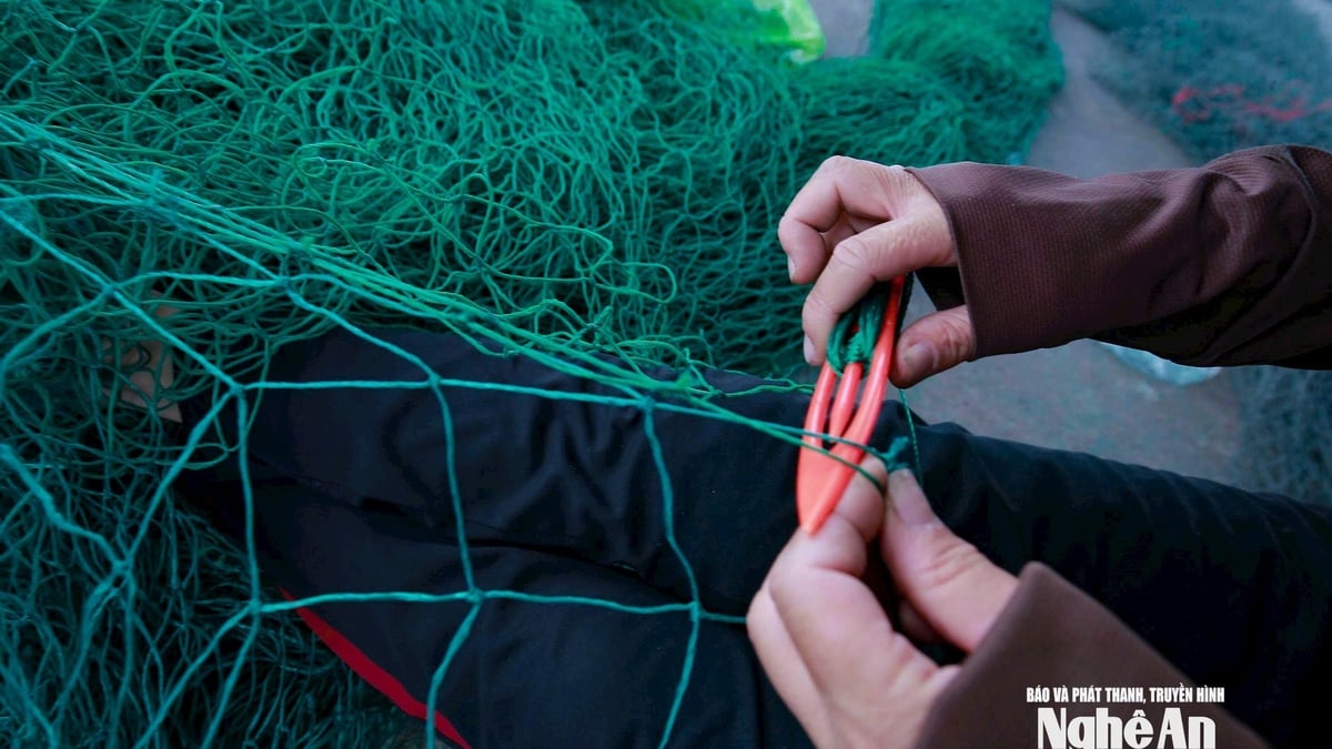Calloused hands mend each net, preserving the livelihood of Nghe An fishermen