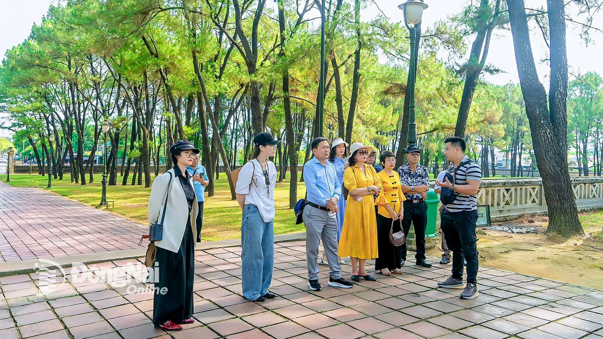 Foundation for developing Dong Nai literature and art