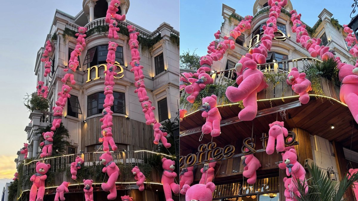 Teddy bears 'covering' a coffee shop in pink, causing a storm online in Ho Chi Minh City: Customers love to check-in