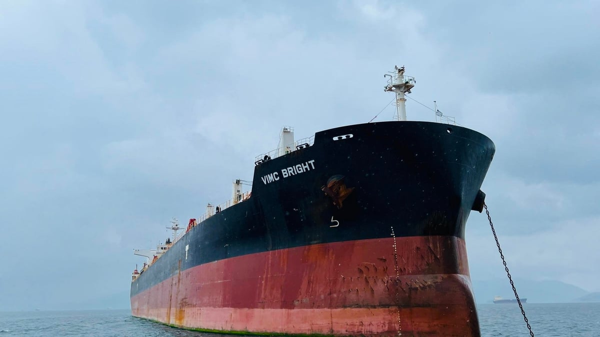 Die VIMC Shipping Company hat das Schiff VIMC Bright erhalten und in Betrieb genommen.