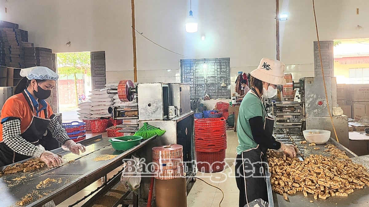 تأكيد مكانة وعلامة منتجات OCOP ذات الأربع نجوم في السوق