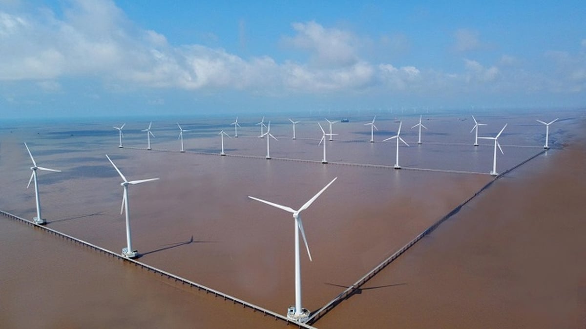 Advantages and potentials for Ca Mau to look towards the target of 8.5% in 2025