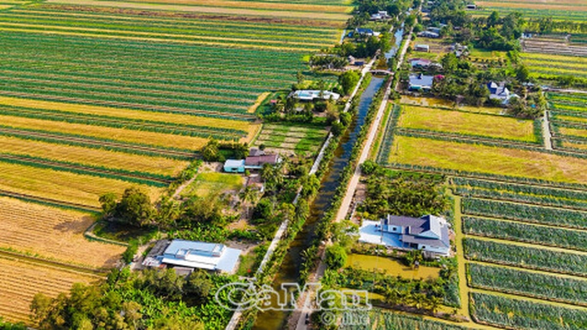 Green vegetable seasons, warm roofs