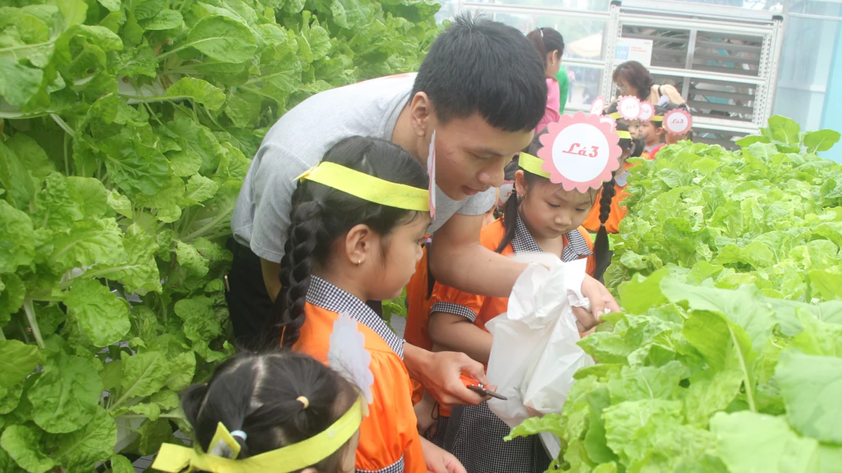 In Ho-Chi-Minh-Stadt gibt es nach der Fusion mehr als 500.000 Kinder im Vorschulalter.