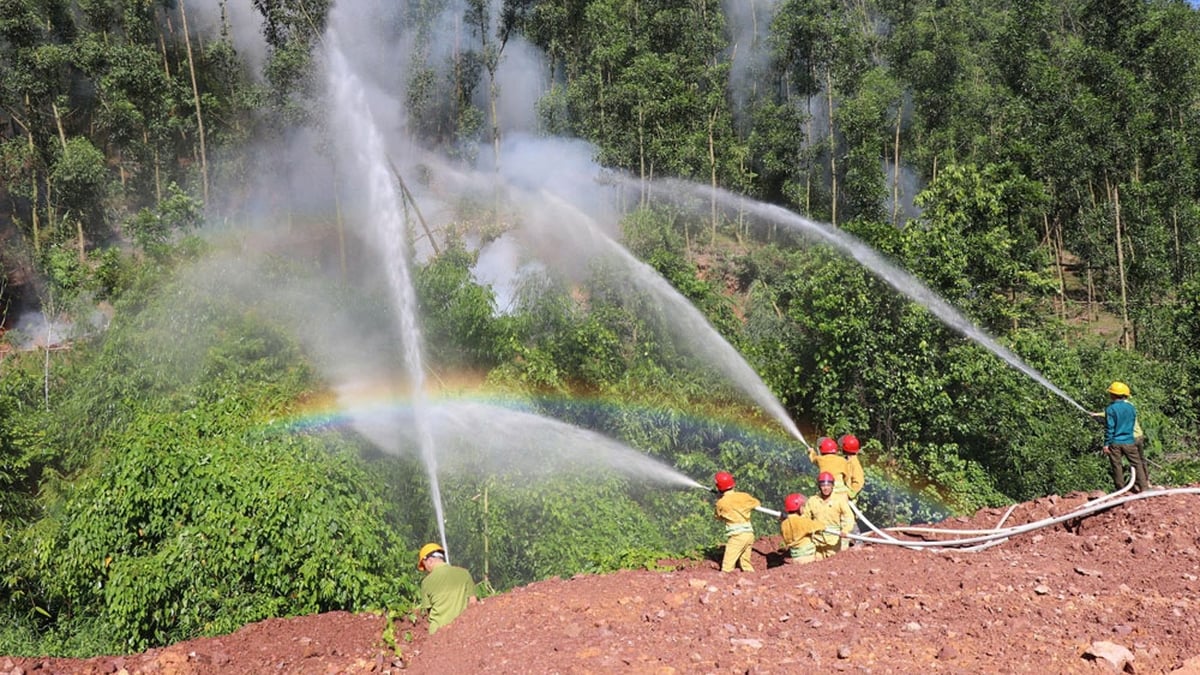 La Junta de Gestión de Conservación de Tay Yen Tu practica la prevención y el combate de incendios forestales