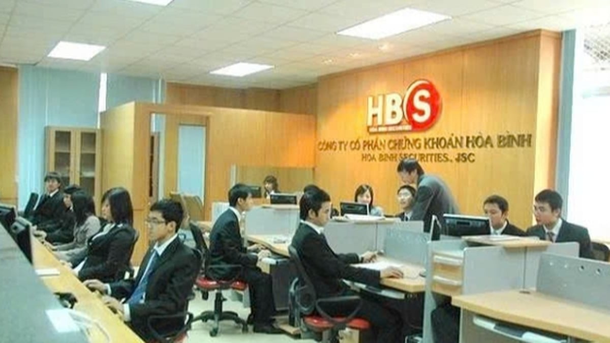 Raison pour laquelle les actions HBS de Hoa Binh Securities sont suspendues du dépositaire
