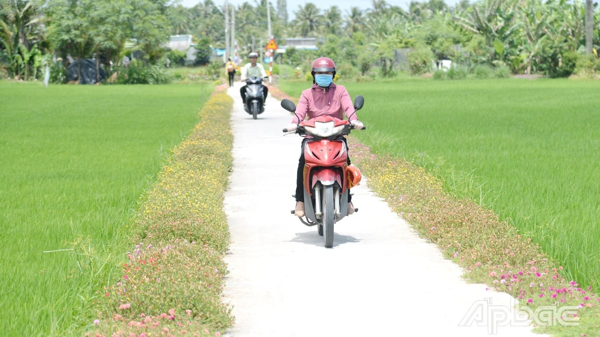 ดงทับ - รากฐานที่มั่นคงสำหรับการพัฒนาการเกษตร