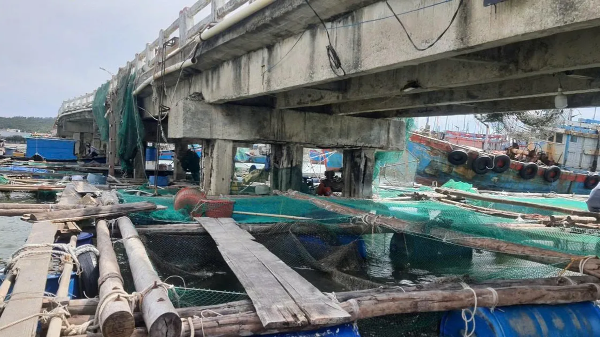 กว๋างหงาย: เตือนระวังสะพานถล่ม ชาวประมงขอไม่ทอดสมอเรือที่ท่าเรือสะพานถั่นดึ๊ก