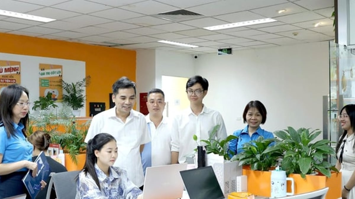 City Labor Federation: Conducting surveys to develop union members and establishing grassroots unions