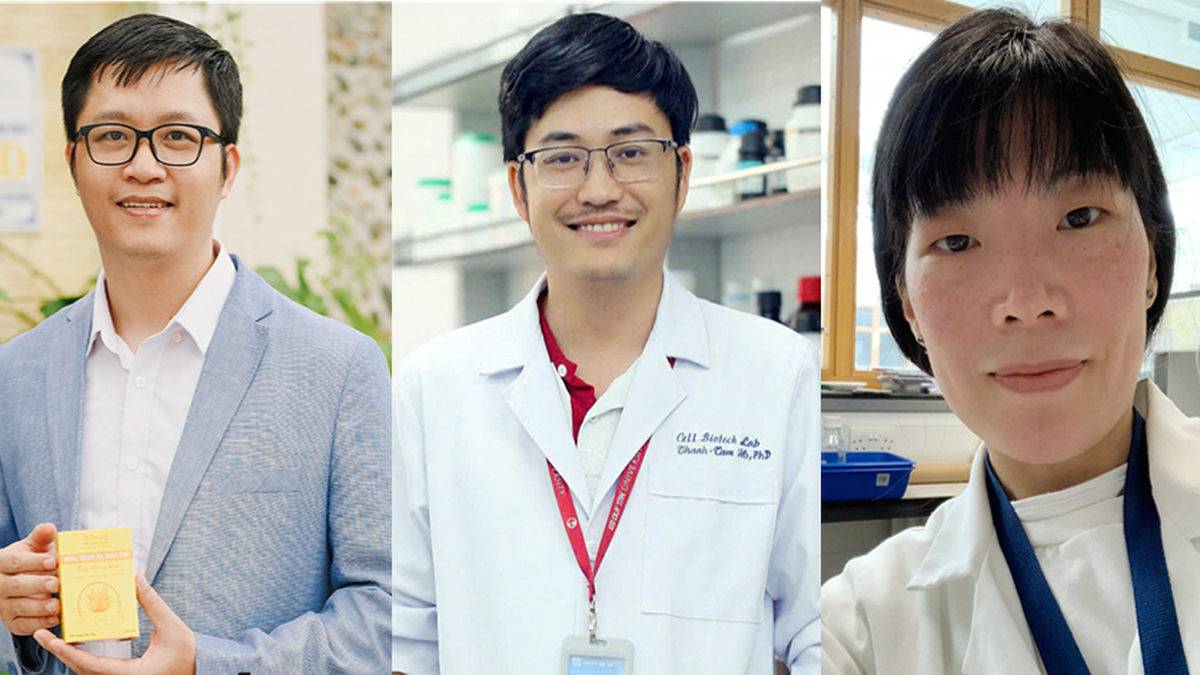 Duy Tan University scientists discover fungus that causes root rot in Ngoc Linh ginseng