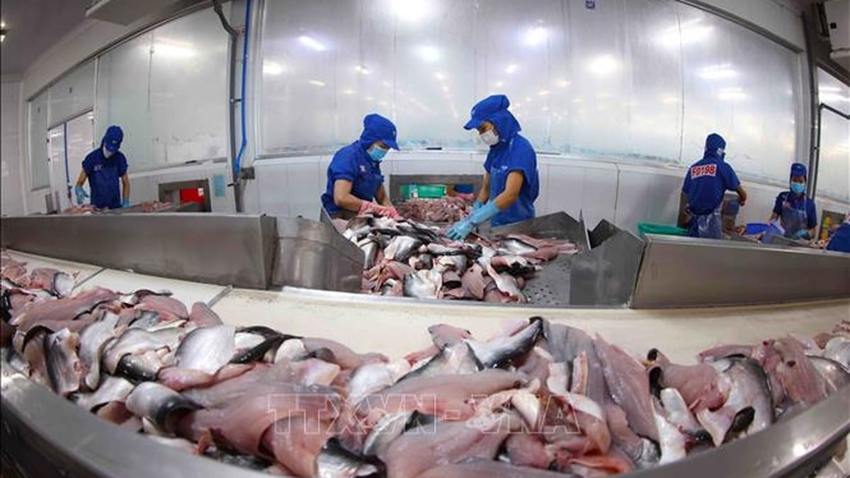 Alerta temprana para proteger las exportaciones