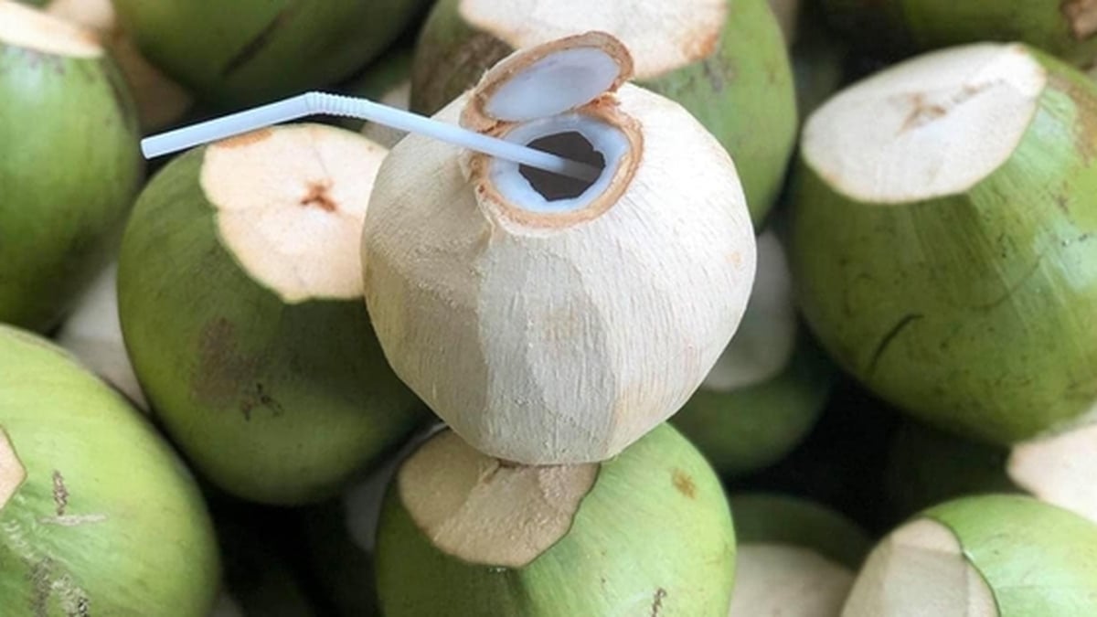 ដូងស្រស់ពីប្រទេសវៀតណាម៖ ពីជំនាញក្នុងស្រុករហូតដល់ឧស្សាហកម្មរាប់ពាន់លានដុល្លារ