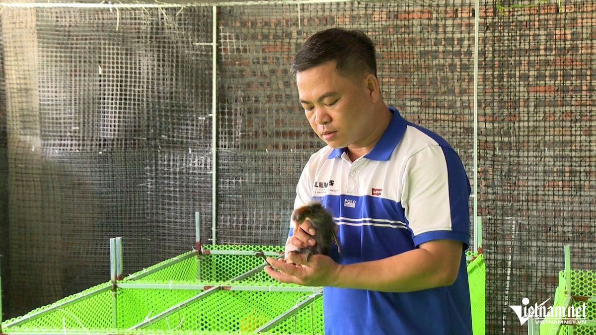 Bac Ninh farmer revives rare bird species, becomes billionaire
