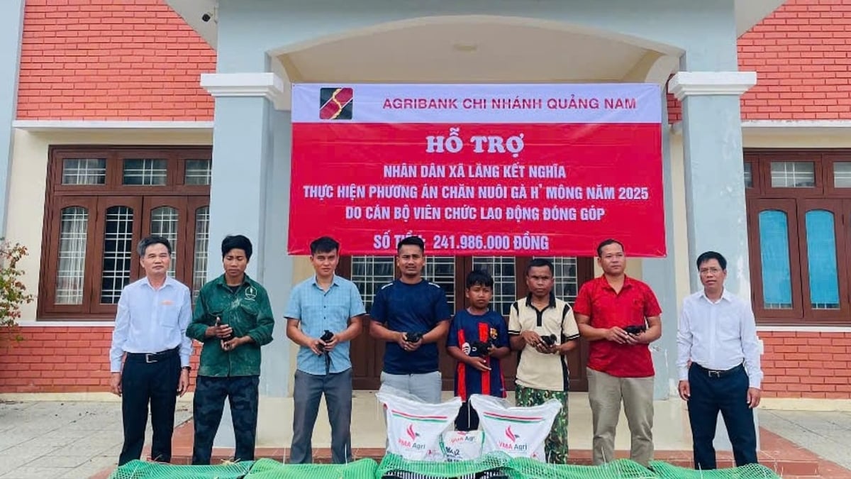 La sucursal de Agribank Quang Nam brinda medios de vida a la población de la comuna de Tay Giang