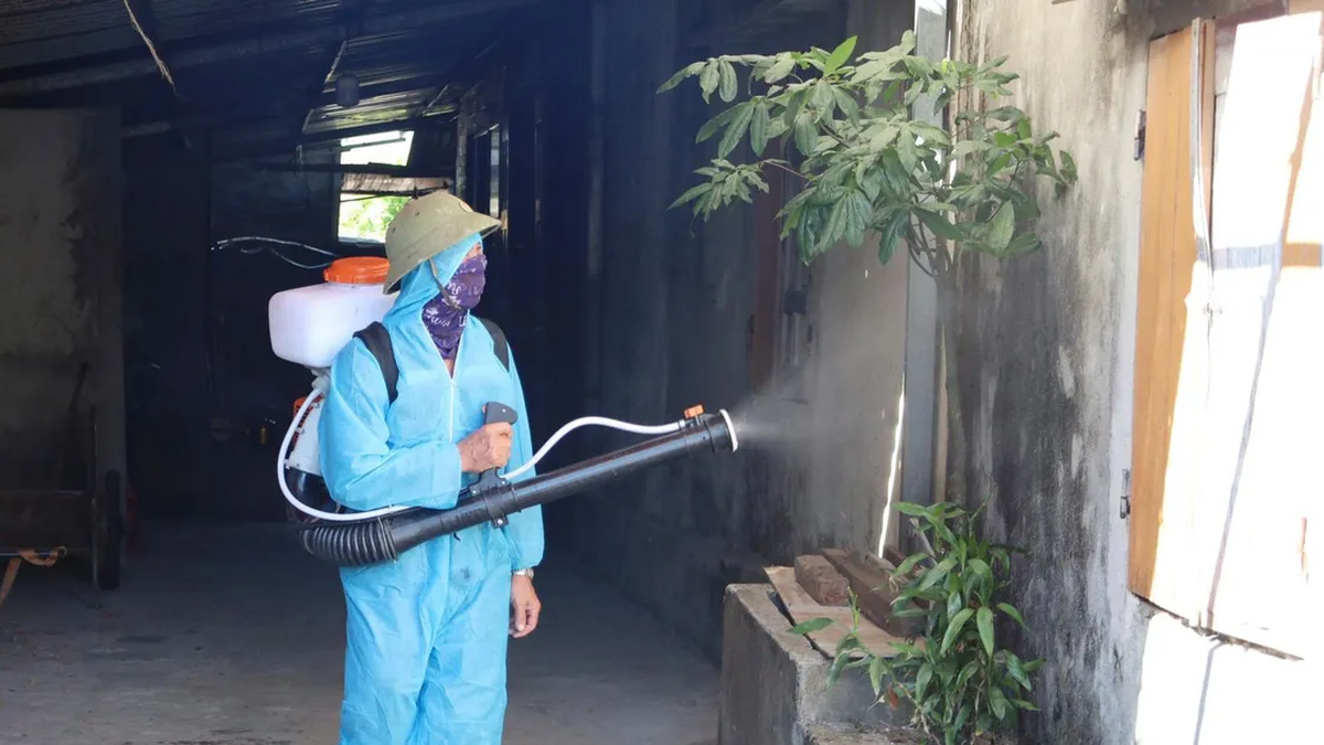 La première épidémie de dengue est apparue à Ha Tinh