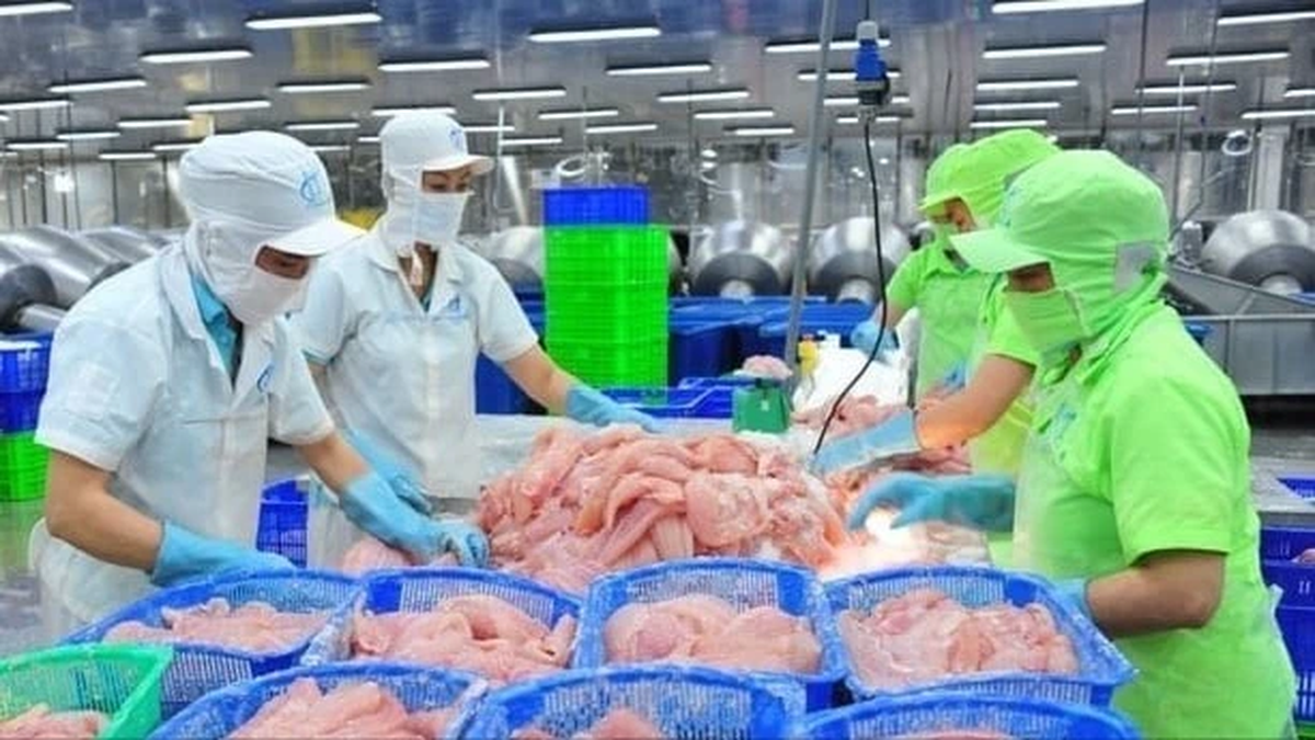 الصين تصبح أكبر مستورد للمأكولات البحرية في فيتنام