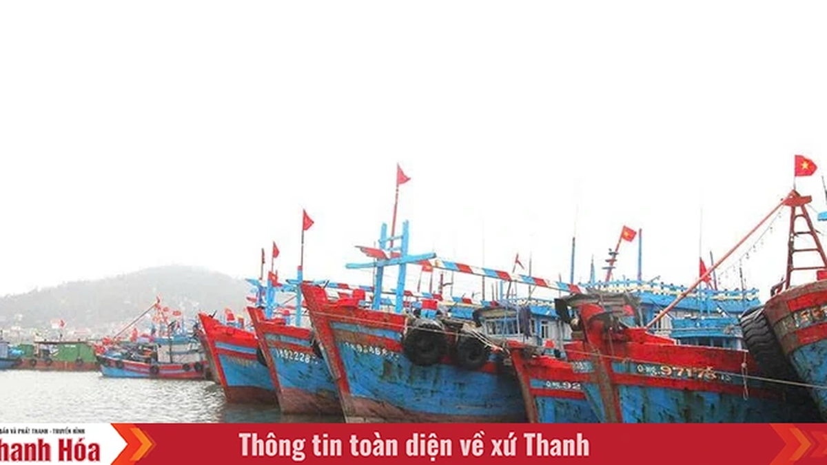 Effectiveness of policies to support fisheries development and ensure safety for fishermen