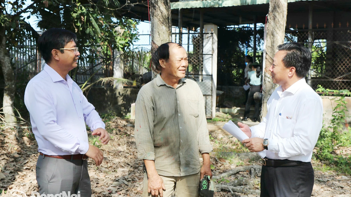 Deux autoroutes traversent la province de Dong Nai : les attentes des habitants sont élevées et les autorités déploient de grands efforts