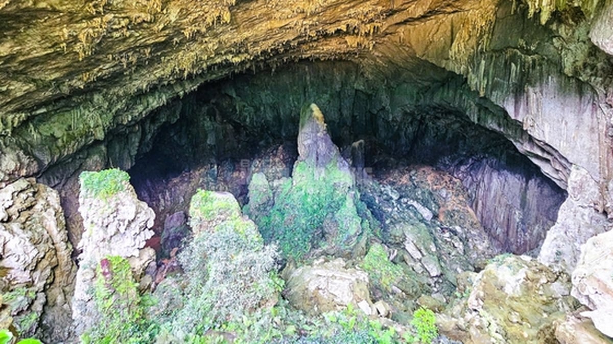 Il y a un « Son Doong » d'une beauté déchirante au milieu de la forêt de Pu Luong.