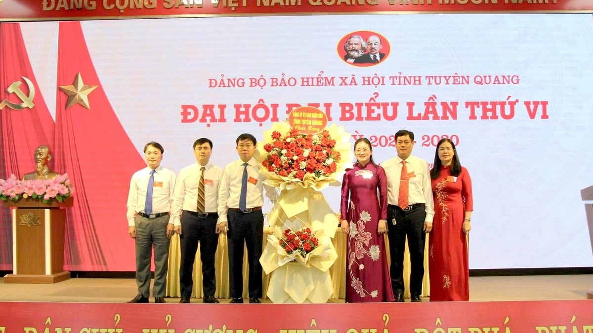 គណៈកម្មាធិការបក្សធានា រ៉ាប់រងសង្គមខេត្ត Tuyen Quang ខិតខំបំពេញភារកិច្ចរបស់ខ្លួន ដំណាក់កាល 2025 - 2030
