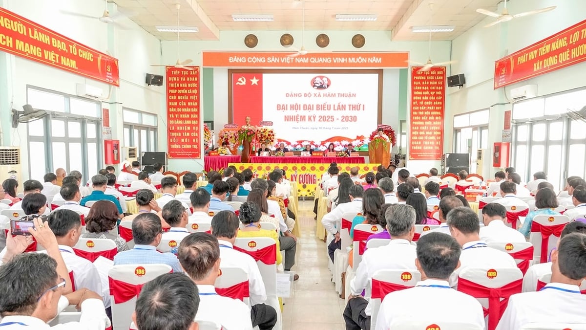 ធ្វើឱ្យ Ham Thuan ក្លាយជាតំបន់អភិវឌ្ឍន៍ដោយយុត្តិធម៌នៃខេត្ត