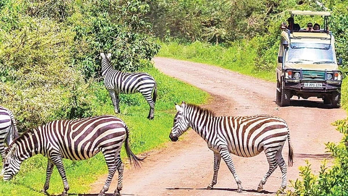 L'Afrique, destination touristique en plein essor