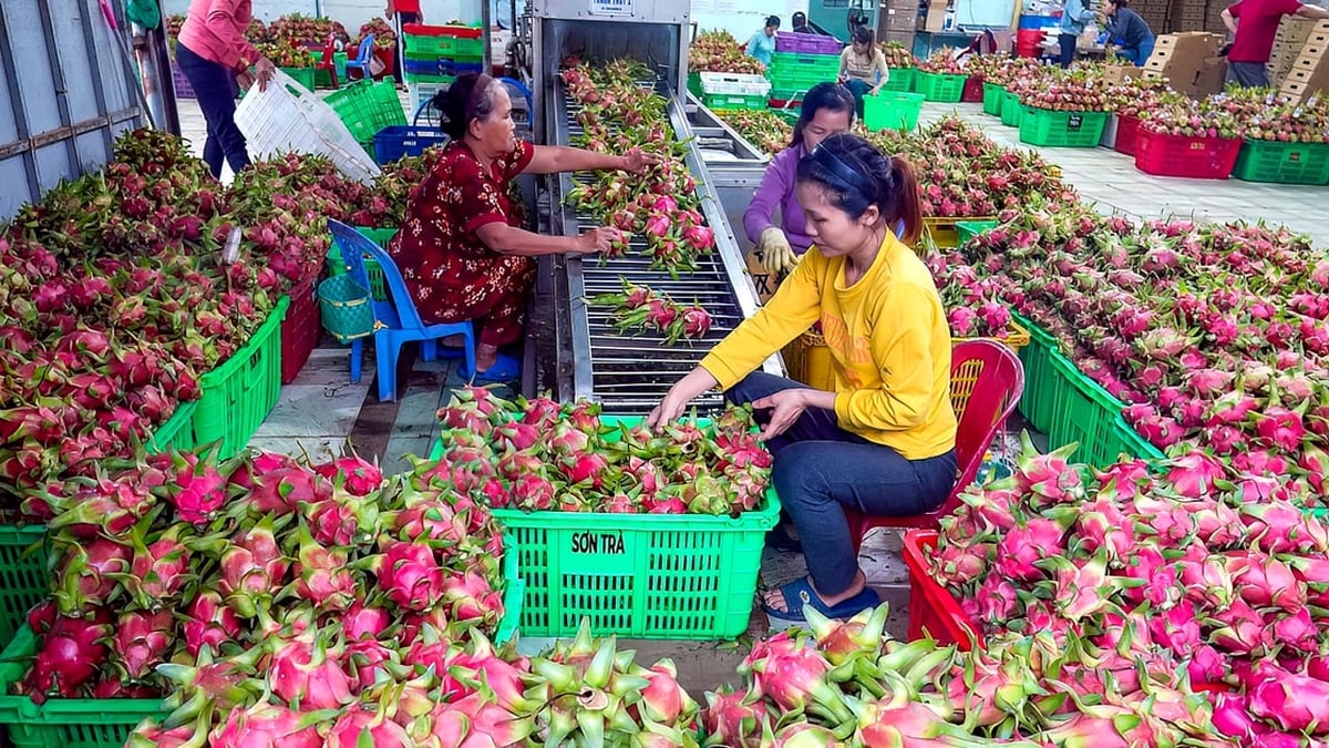 ការប្រើប្រាស់ឆ្លងកាត់