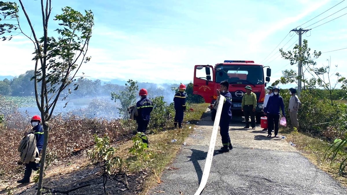 Rechtzeitige Löschung des Waldbrandes im Bezirk Phong Phu
