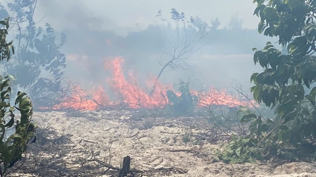 Les dirigeants de la ville ordonnent une réponse rapide à l'incendie de forêt à Phong Phu