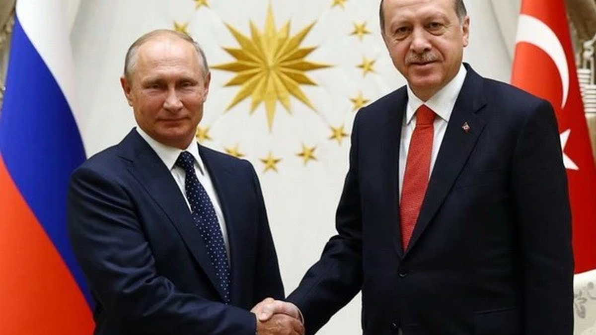 Der russische und der türkische Präsident diskutieren über die Ukraine und Syrien