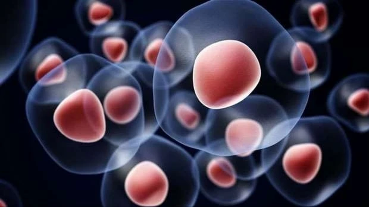 China announces cheap, direct-injection cancer treatment