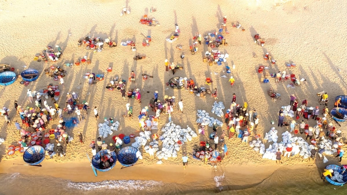 Der geschäftige Fischmarkt von Binh Minh