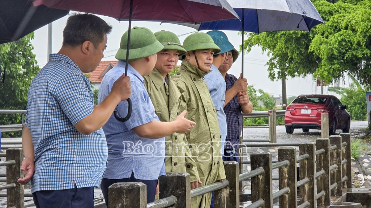 Líderes provinciales inspeccionan y dirigen los trabajos de prevención y combate a la tormenta No. 3.
