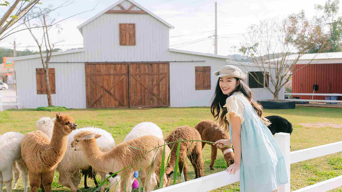 Top 5 beautiful farms in Da Lat you must visit once