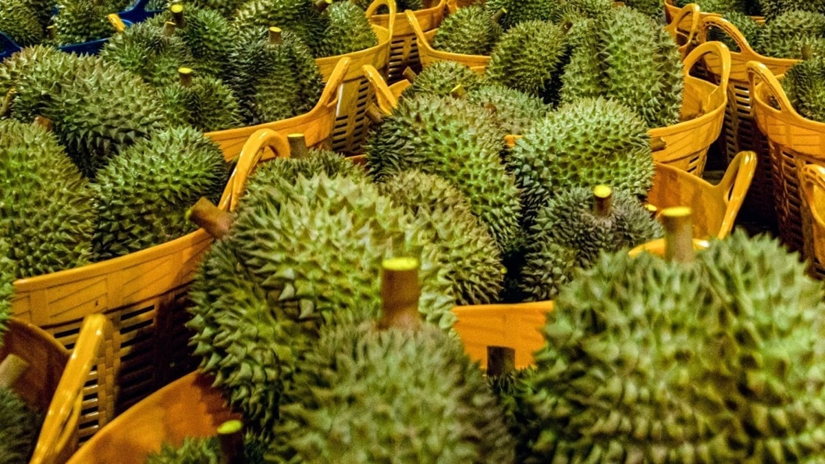 Les prix du durian et des fruits locaux ont chuté de façon spectaculaire, ce qui a profité aux consommateurs nationaux.