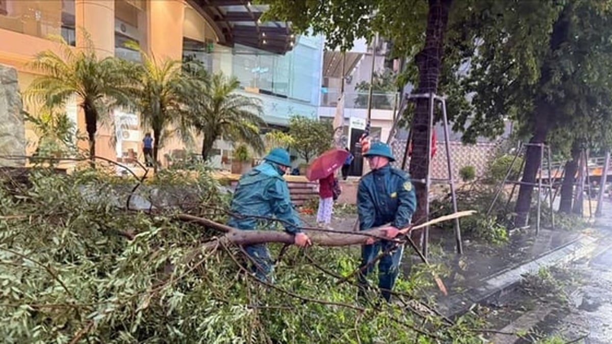 Dong Da Ward ist bereit, auf Sturm Nr. 3 zu reagieren