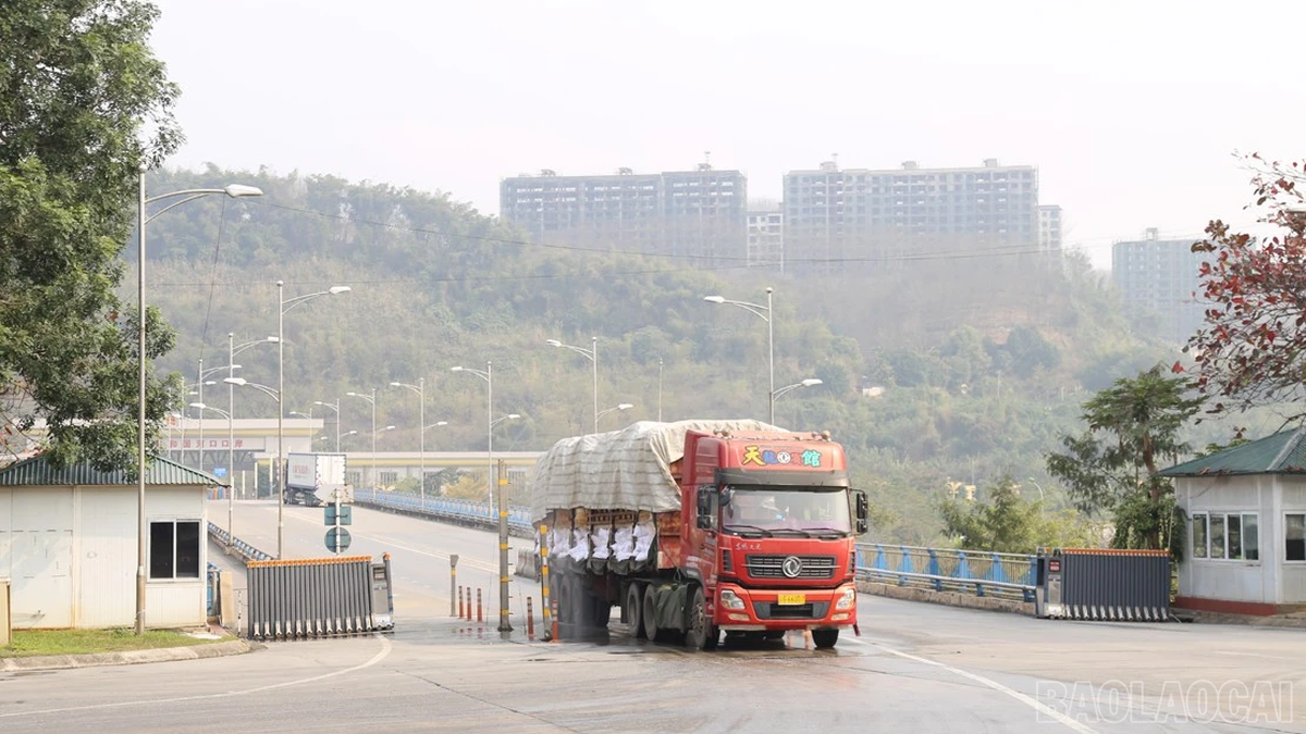 라오까이 국제 국경 관문 세관, 예산 수입 5,260억 VND 이상 징수
