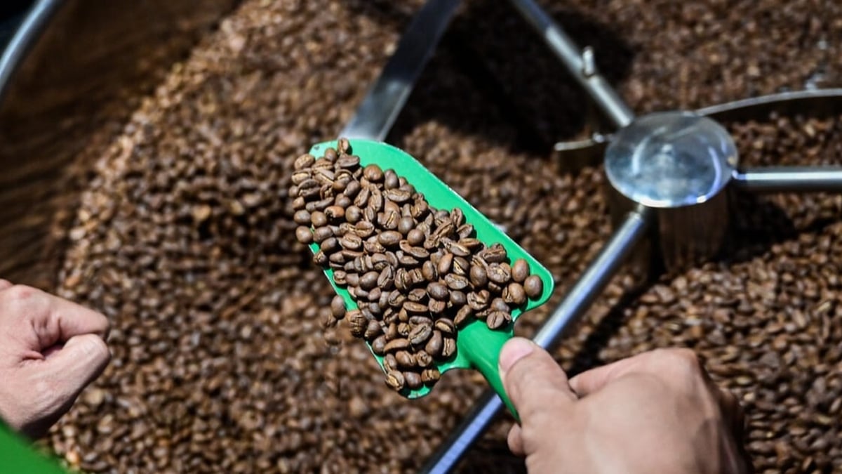 Prix du café aujourd'hui 21 juillet : En phase d'équilibre du marché