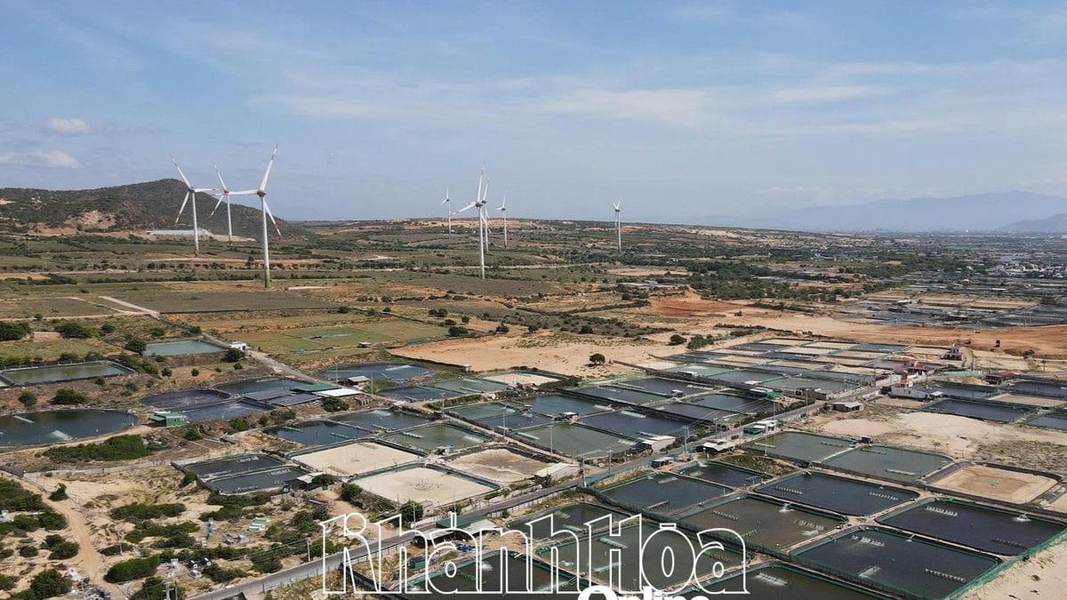 Hacia un centro energético nacional: Centrándose en la construcción de energía nuclear