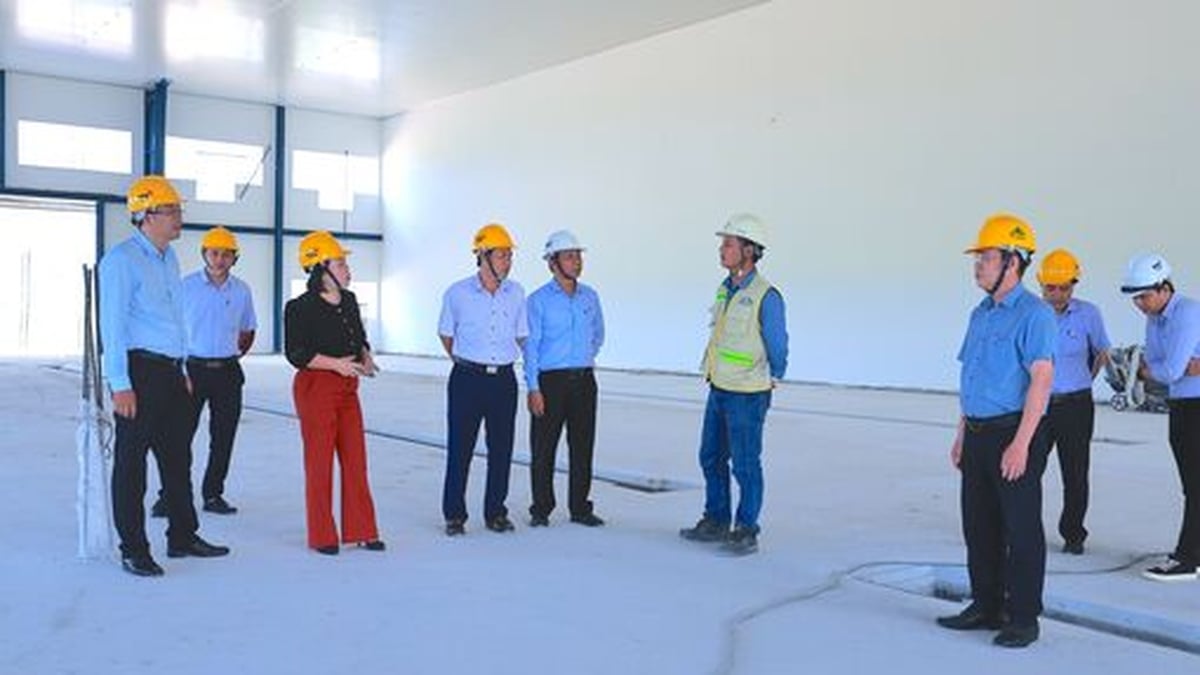 إزالة الصعوبات التي تواجه الشركات المستثمرة في بلدية نينه دين