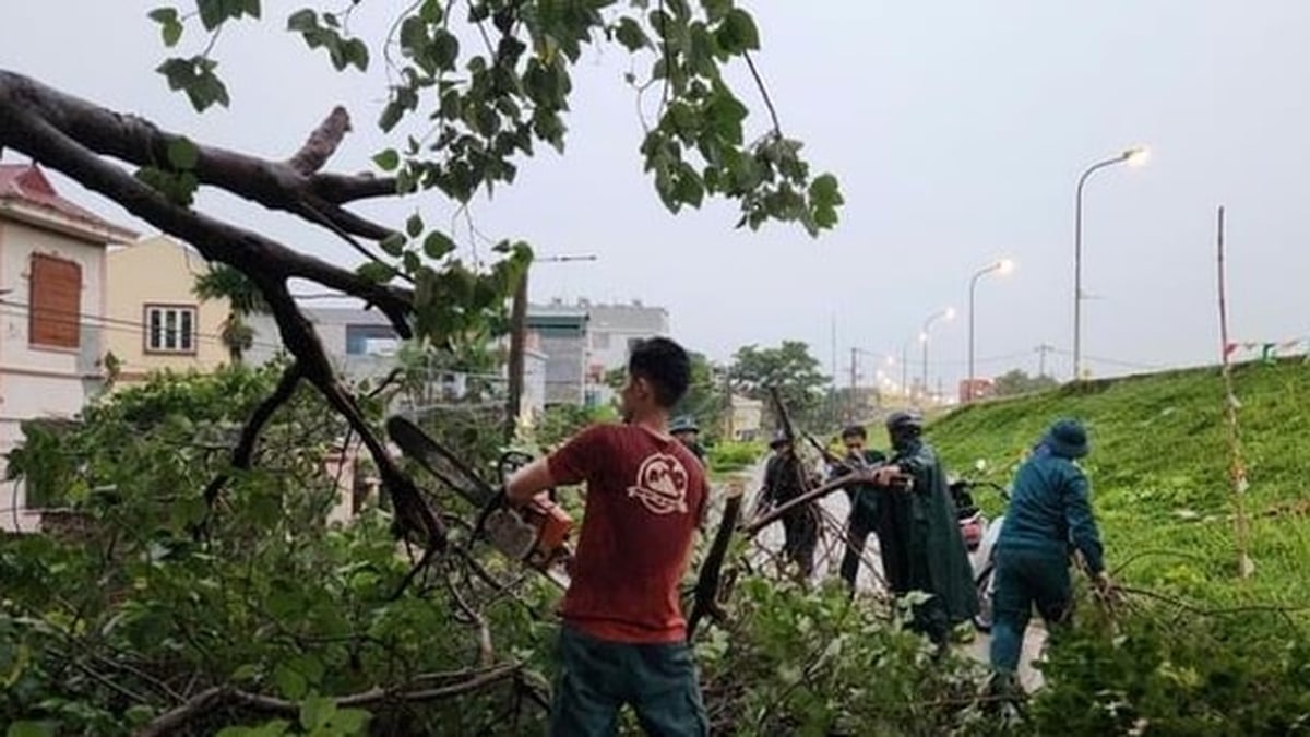 Thuong Cat Ward, Dong Ngac: Ensuring safety for people in the Red River area