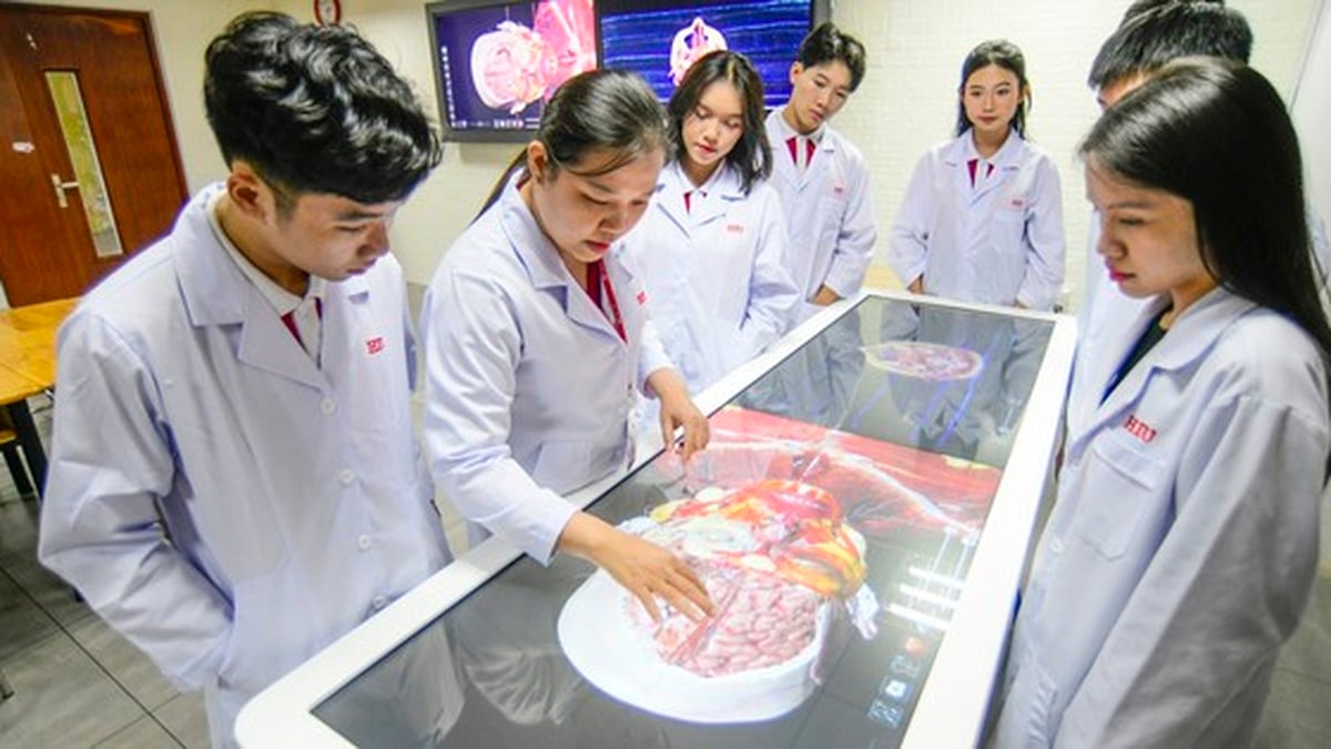 Hong Bang International University gibt Mindestpunktzahlen für Gesundheitsstudenten bekannt
