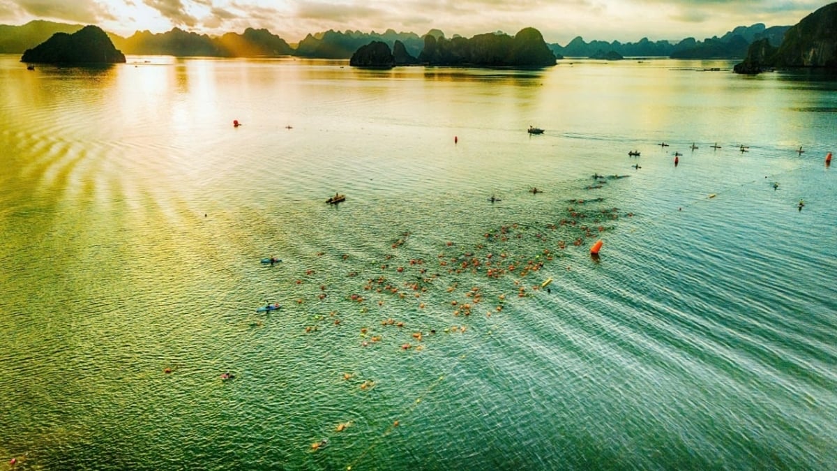 Aqua Warriors Van Don 2025: អត្តពលិកជាង 1,500 នាក់ចុះឈ្មោះសម្រាប់សំបុត្រ Super Early Bird