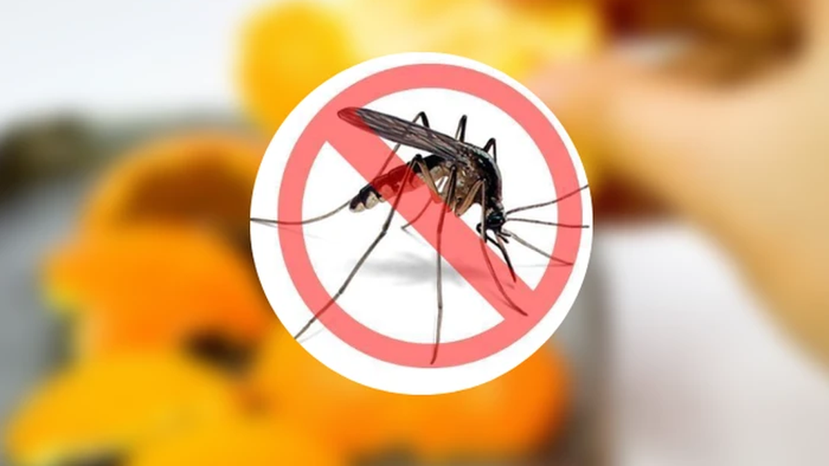 La "fiebre" de las máquinas repelentes de mosquitos con tecnología integrada en la temporada de lluvias