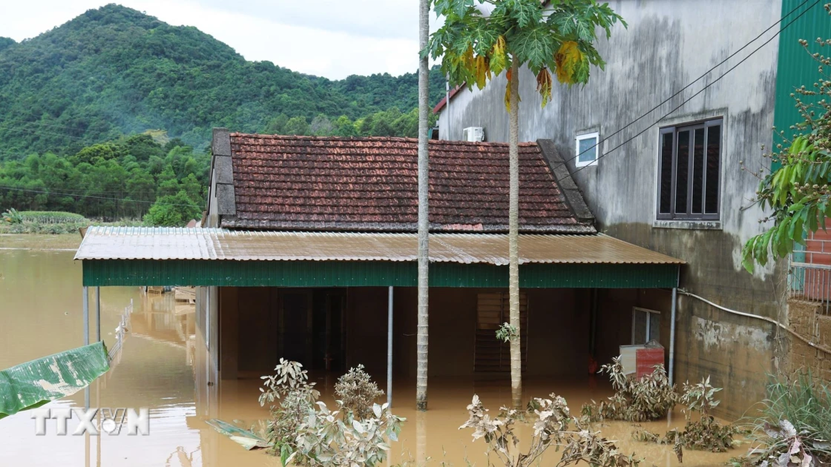 Open roaming in communes of Nghe An province isolated by storm No. 3