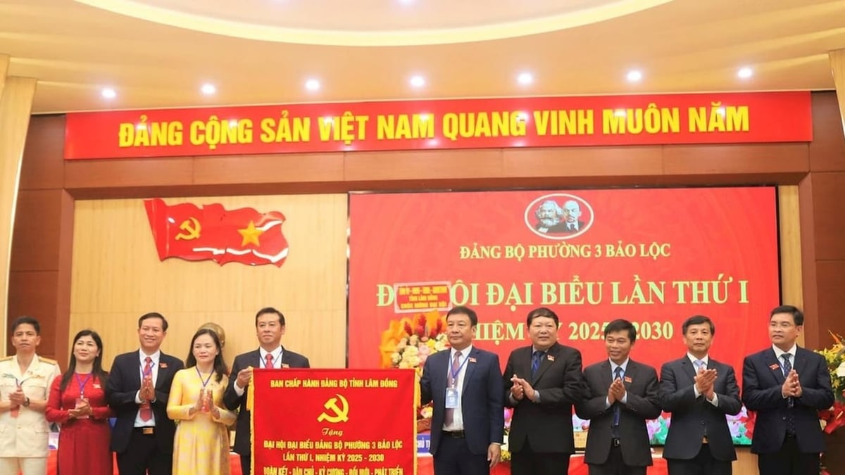 ការរំពឹងទុកសម្រាប់ការអភិវឌ្ឍន៍ដ៏ទូលំទូលាយនៃសង្កាត់ 3 Bao Loc