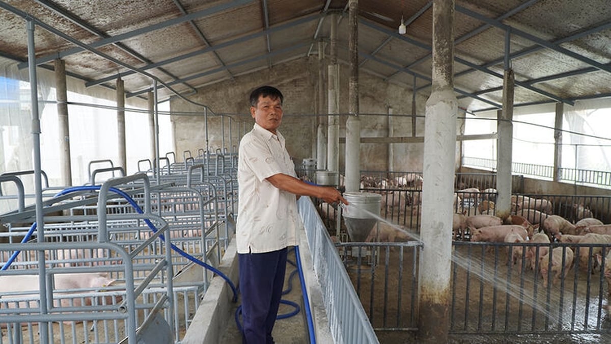 ជនពិការក្នុងសម័យសន្តិភាព